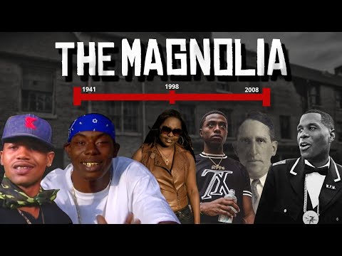 Preview image for the video "Enter The Magnolia | The Story of CJ Peete Housing Projects (3rd Ward Documentary)".