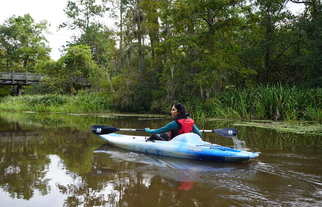 Kayaking Cane Bayou