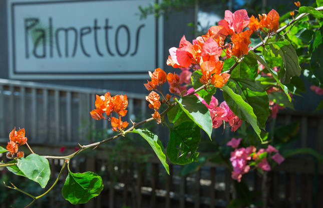 Palmettos Restaurant on the Northshore