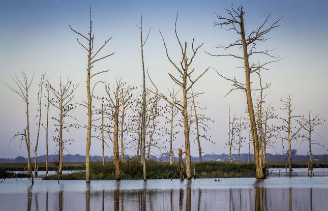 winter at poverty point reservoir state park