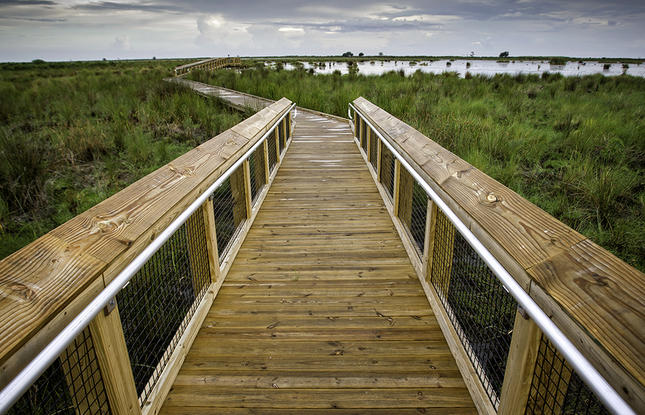 The boardwalk at Fontainebleau State Park stretches through the swamps and into the lake.