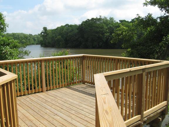A wooden dock stretches into the swampy water at Palmetto Island State Park.