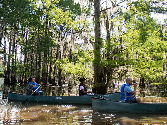 Lake Bistineau State Park