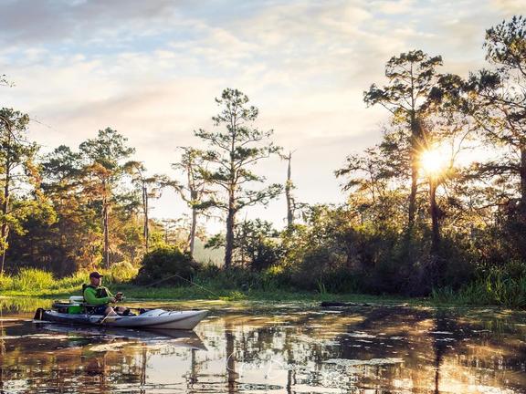 A kayaker floats through a bayou in autumn.