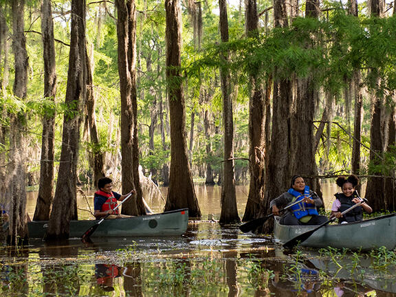 Kayakers explore Lake Bistineau.
