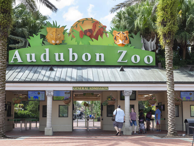 We heard they were all asking for you, down at the Audubon Zoo! Plan your visit today!