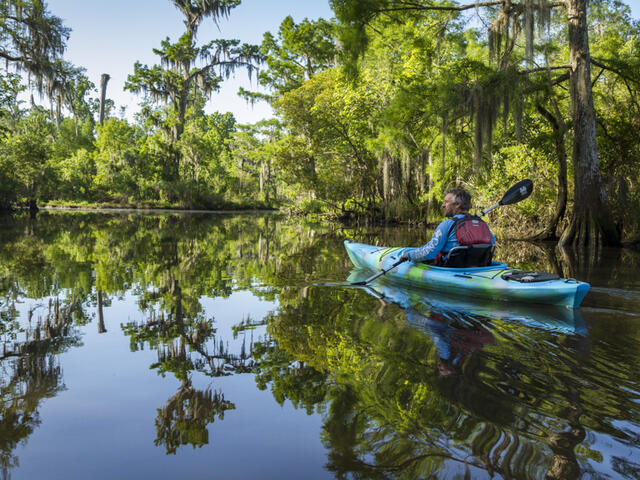 Kayak the bayou with one of our phenomenal outfitters.
