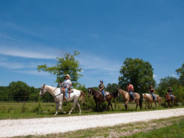 Horseback riding trails and stables