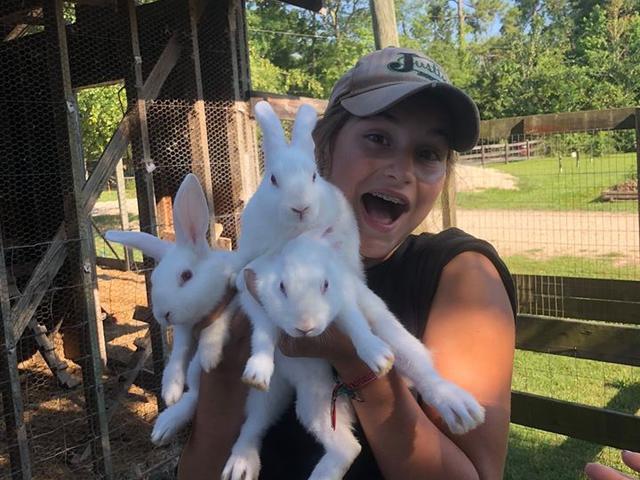 Petting farm animals