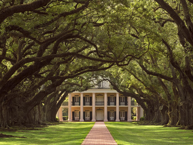 Oak Alley Plantation Photo