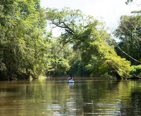 Kayaking on the Bogue Falaya River in Covington