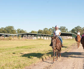 Horse Farr Park Ride