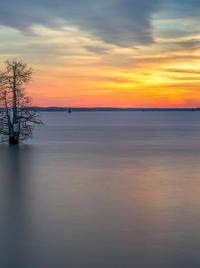Caddo Lake